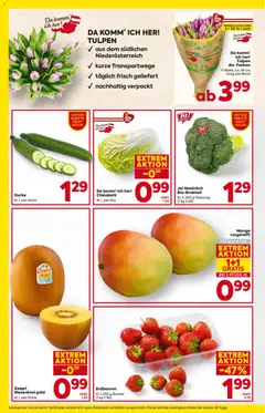 Billa Flugblatt ab 08.01.2026 gültig | Seite: 8 | Produkte: Erdbeeren, Mango, Chinakohl
