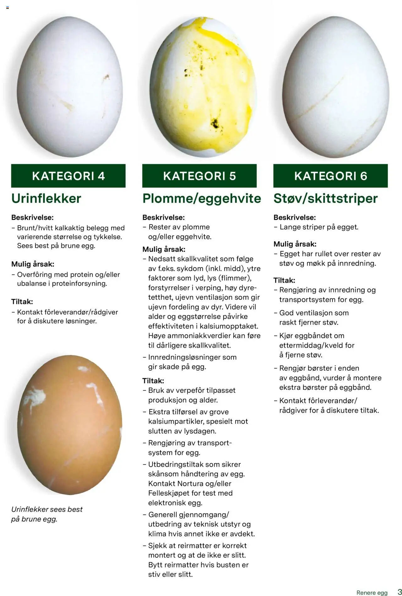  | Side: 3 | Produkter: Kontakt, Egg, Lys, Necessär