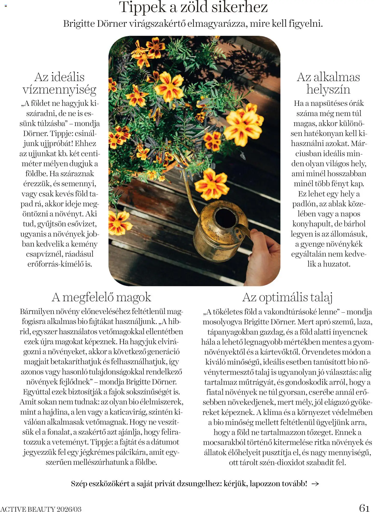 DM Drogerie Markt akciós ujság - amely érvényes a következő dátumtól: 26.03.2026 | Oldal: 61 | Termékek: Virágok, Ablak