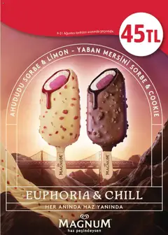 Rossmann Ağustos Ev & Yaşam Kataloğu - 04.08.2025 tarihinden itibaren geçerlidir | Sayfa: 15 | Ürünler: Limon, Ahududu