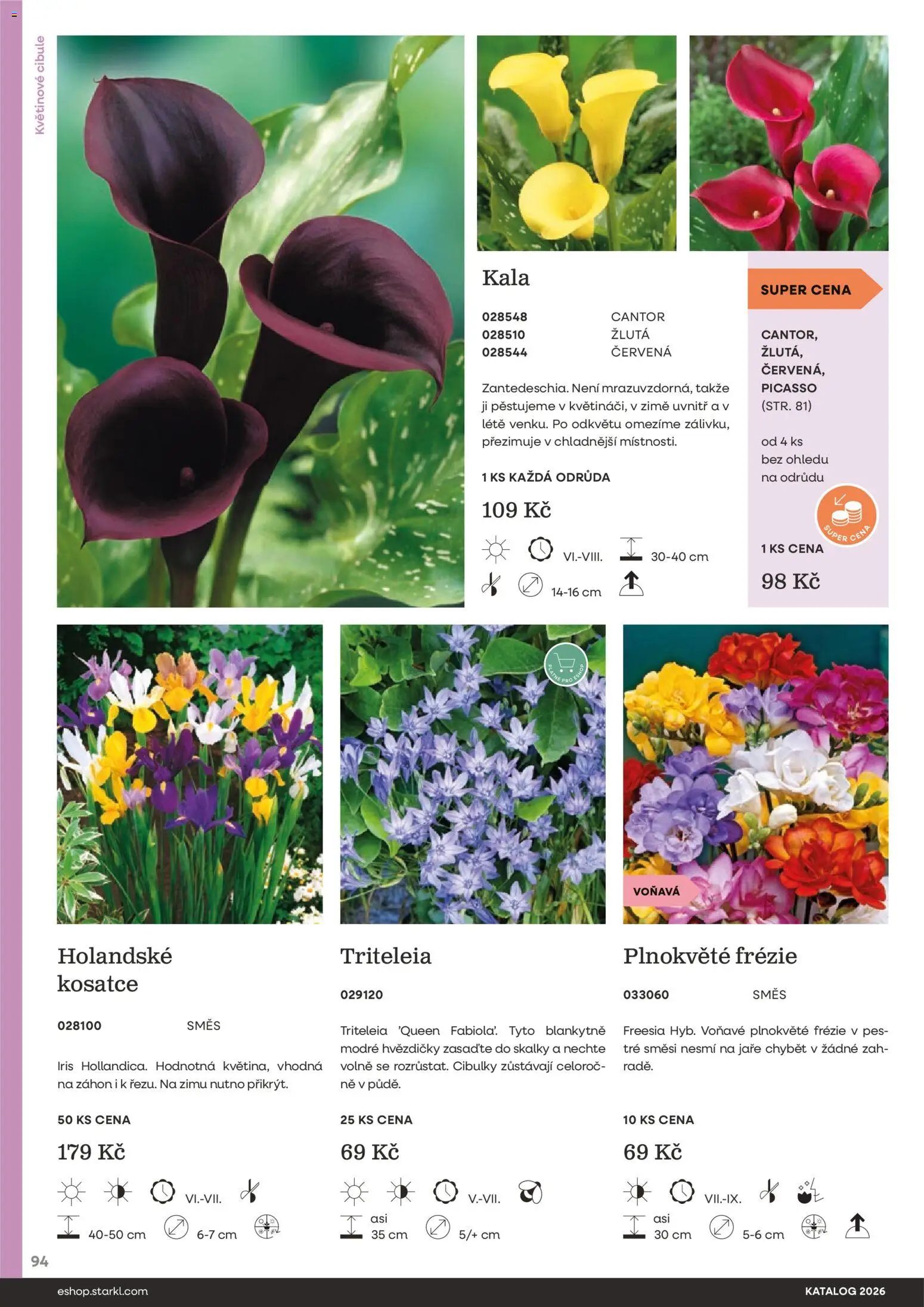 Starkl katalog od 25.02.2026 | Strana: 94 | Produkty: Cibule, Pes