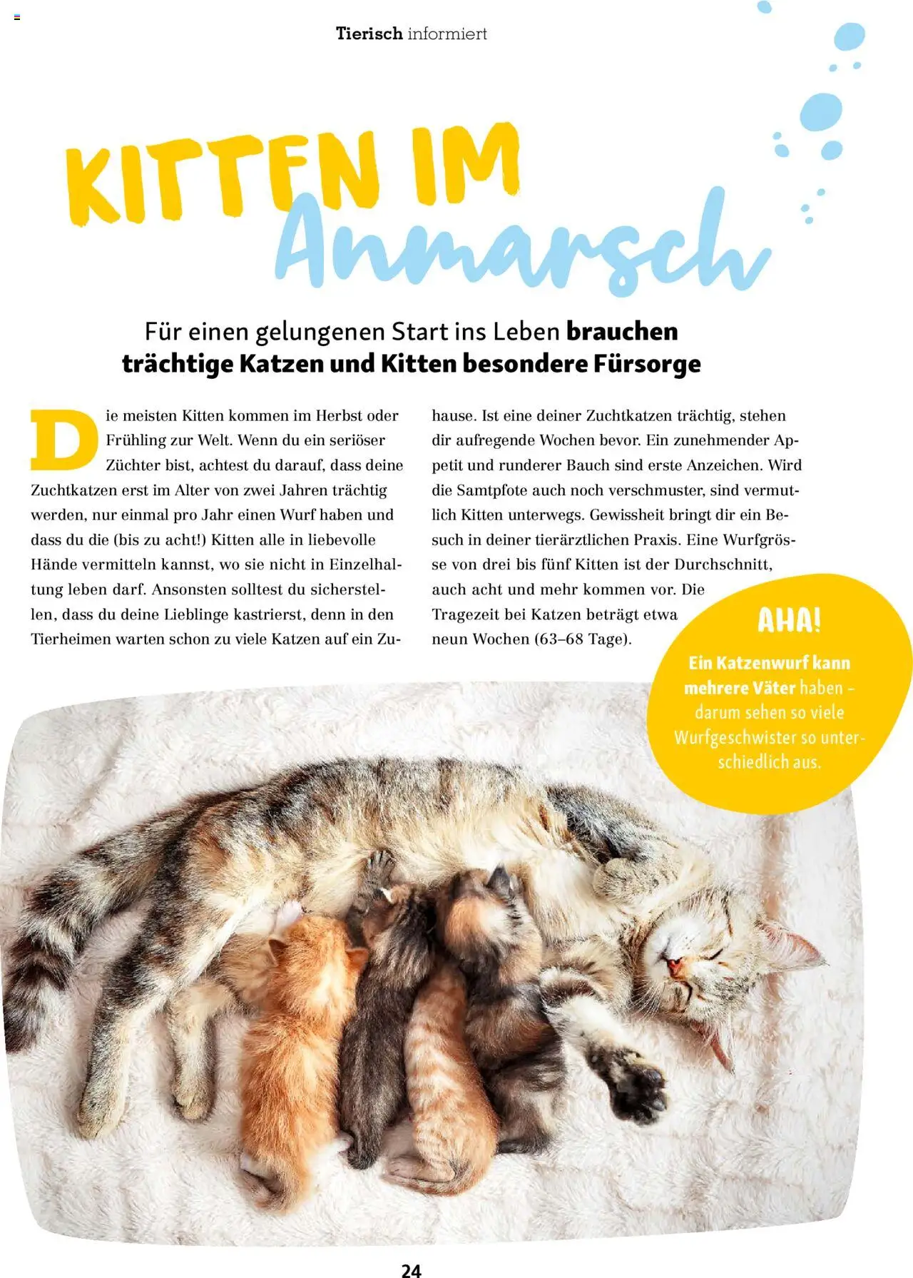 Fressnapf Magazin – gültig ab 01.09.2025 | Seite: 24 | Produkte: Sehen