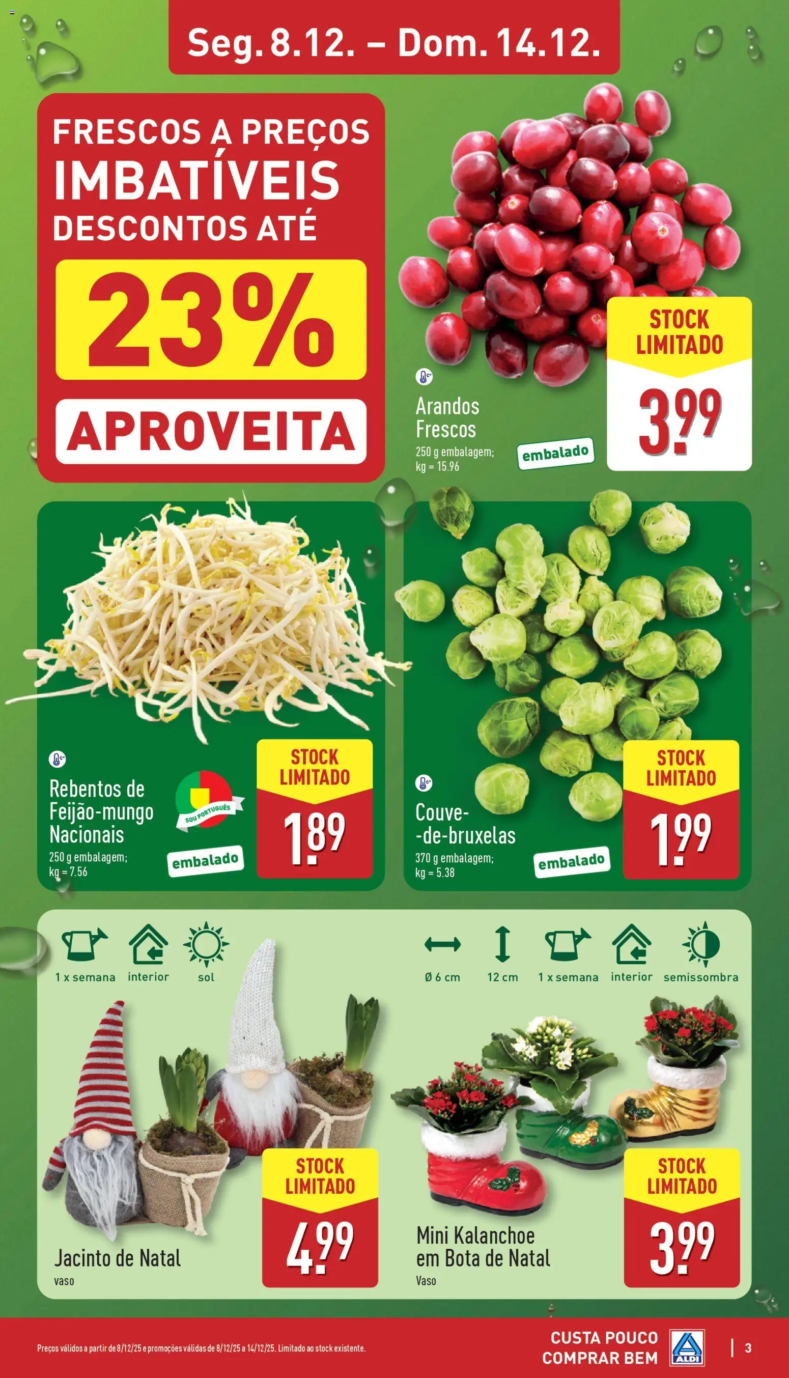 Aldi folheto │ válido de 08.12.2025 | Página: 3 | Produtos: Vaso, Couve