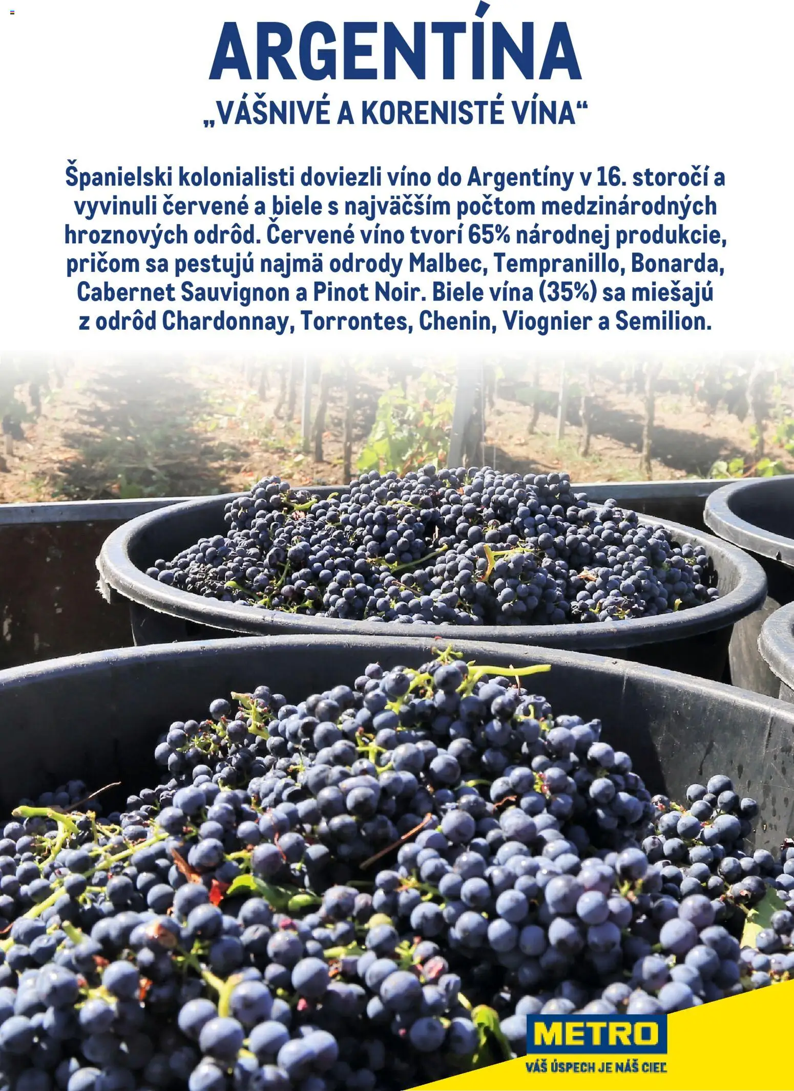 Nové Metro akcie – leták je platný od 01.01.2026 | Strana: 37 | Produkty: Víno, Červené víno
