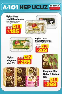 24.01.2026 tarihinden itibaren geçerli olan A101 kataloğu önizlemesi