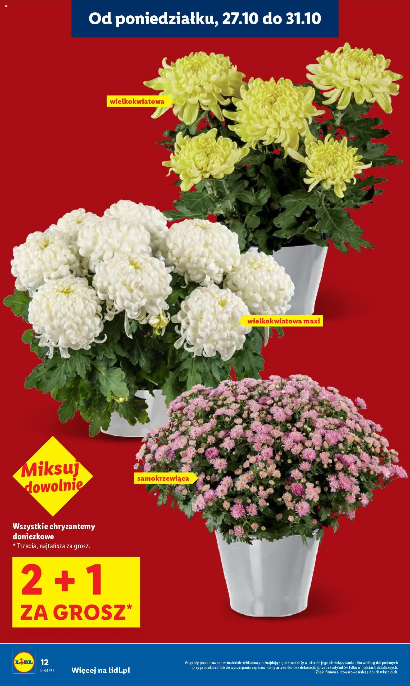 Lidl Gazetka od 27.10.2025 | Strona: 12