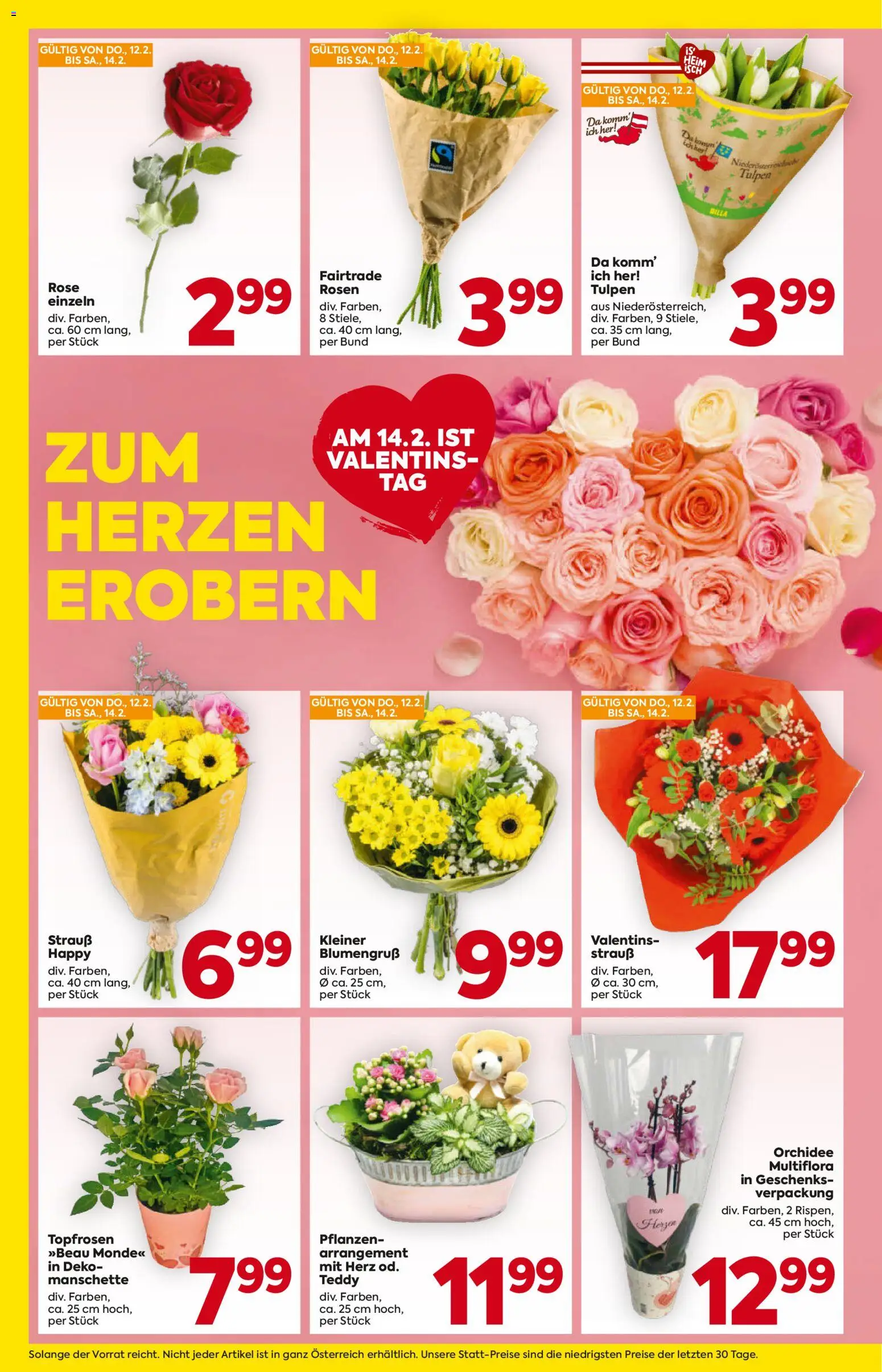 Billa Flugblatt - Burgenland gültig ab 12.02.2026 | Seite: 2