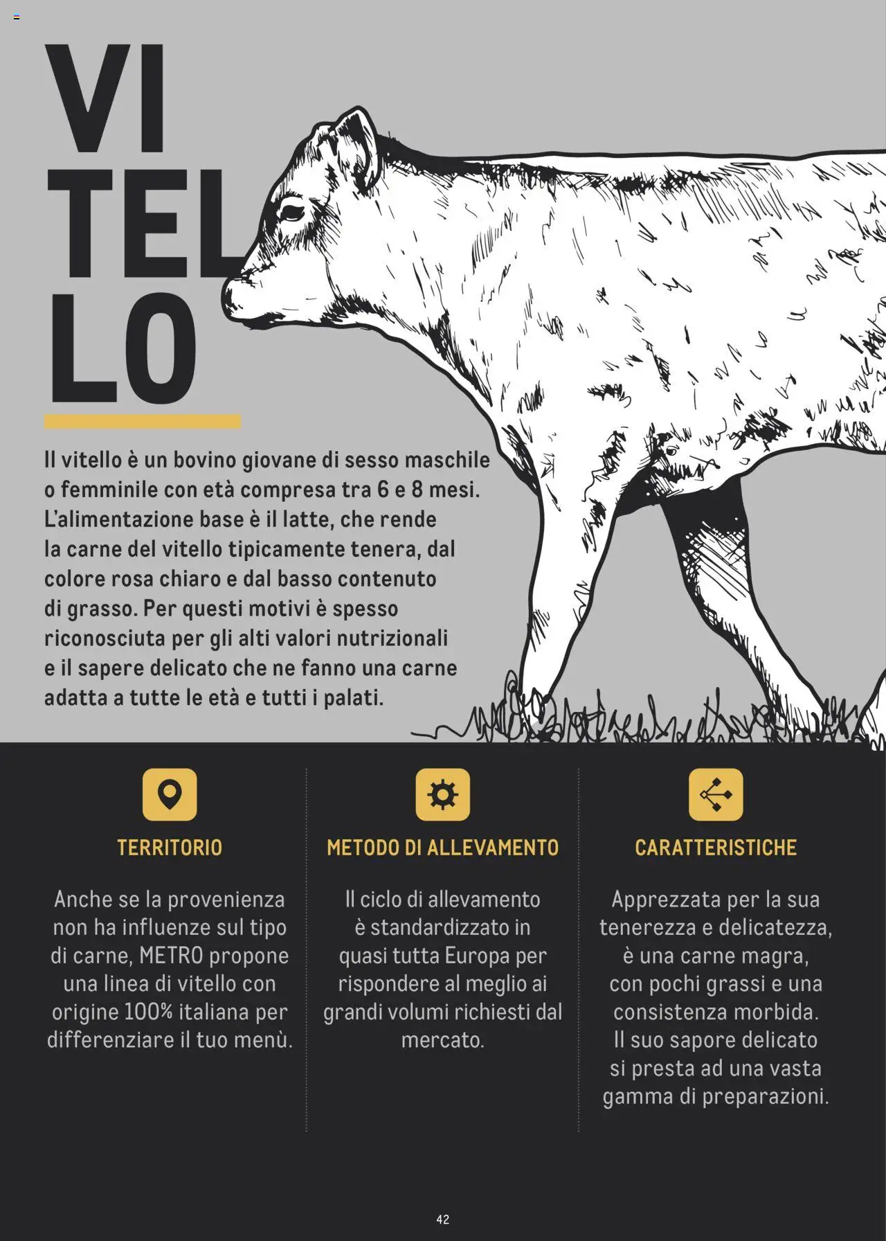 Volantino Metro del 02.07.2024 | Pagina: 42 | Prodotti: Bovino, Vitello, Metro