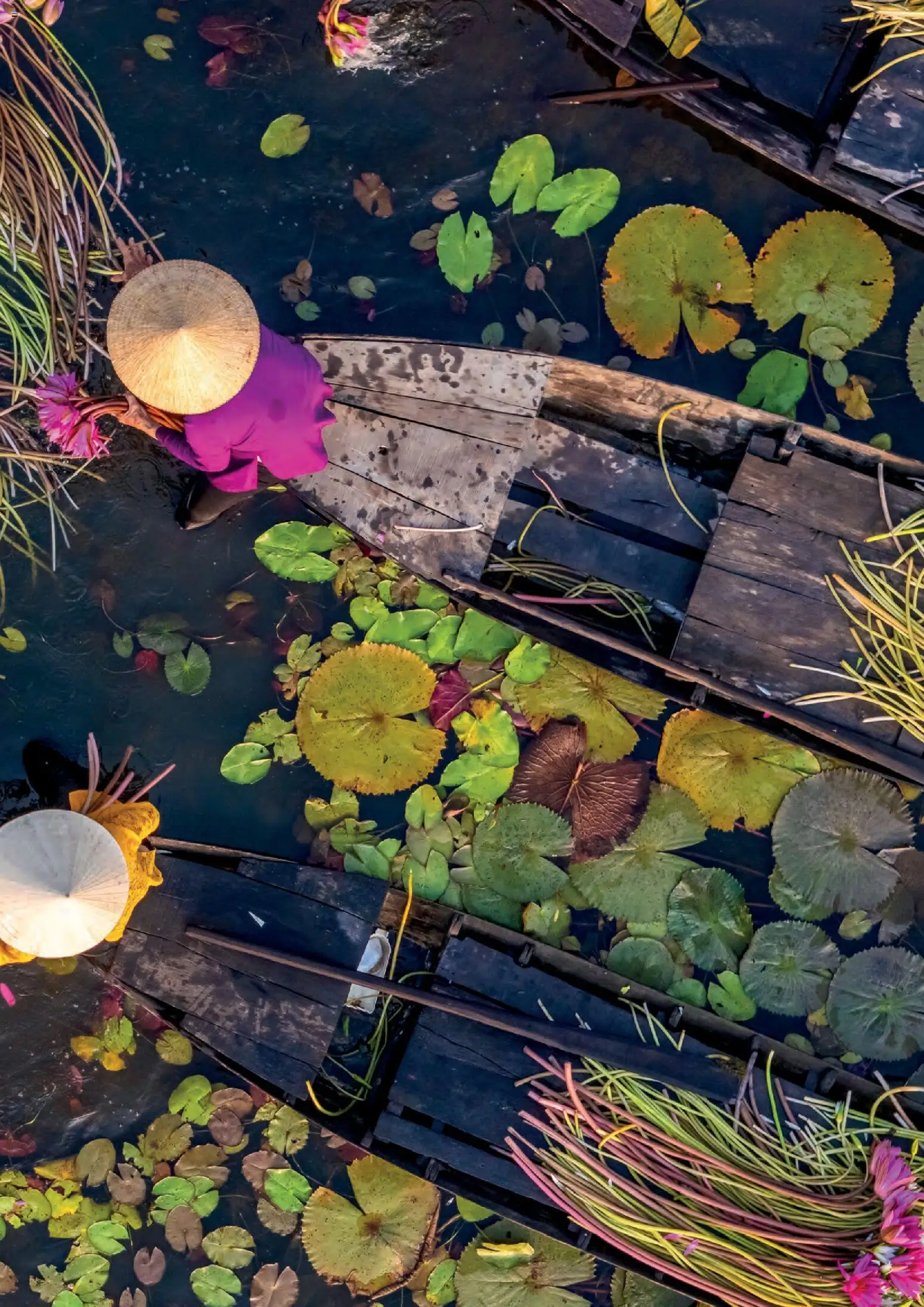 Viajes El Corte Inglés Circuitos exclusivos │ válido desde el 28.03.2026 | Página: 83