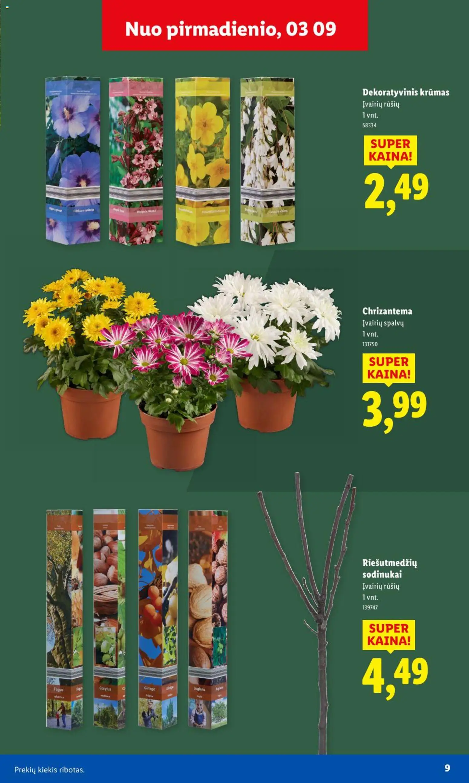 LIDL akcijos nuo 09.02.2026 | Puslapis: 8