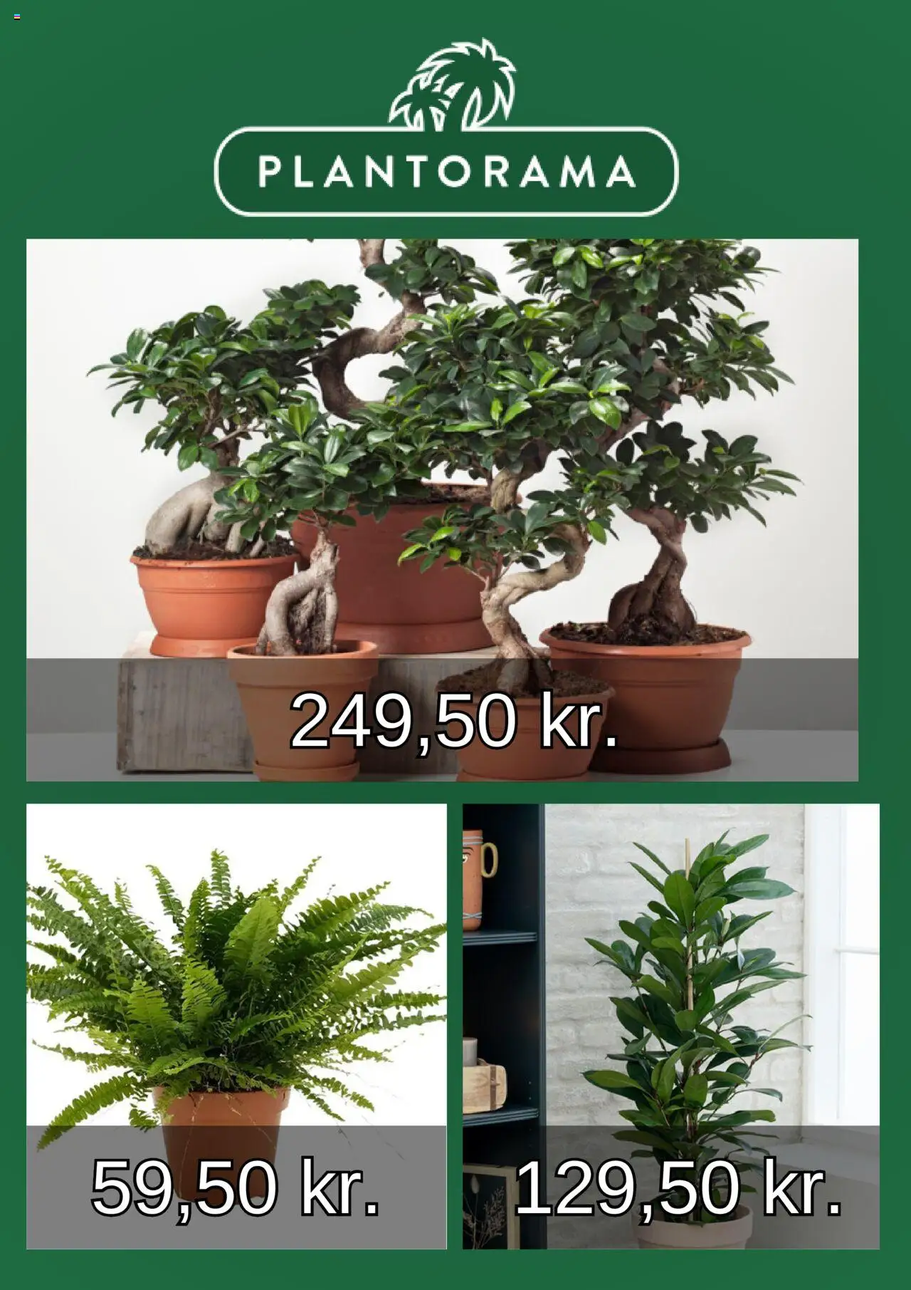 Plantorama Tilbudsavis gyldig fra 10.08.2025 | Side: 2