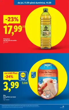 Noul catalog Lidl – valabil de la 08.09.2025 | Pagină: 45
