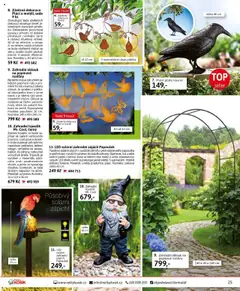 Velký Košík katalog - červenec  od 01.07.2025 | Strana: 25 | Produkty: Brýle, Košík, Plašič, Zahradní oblouk