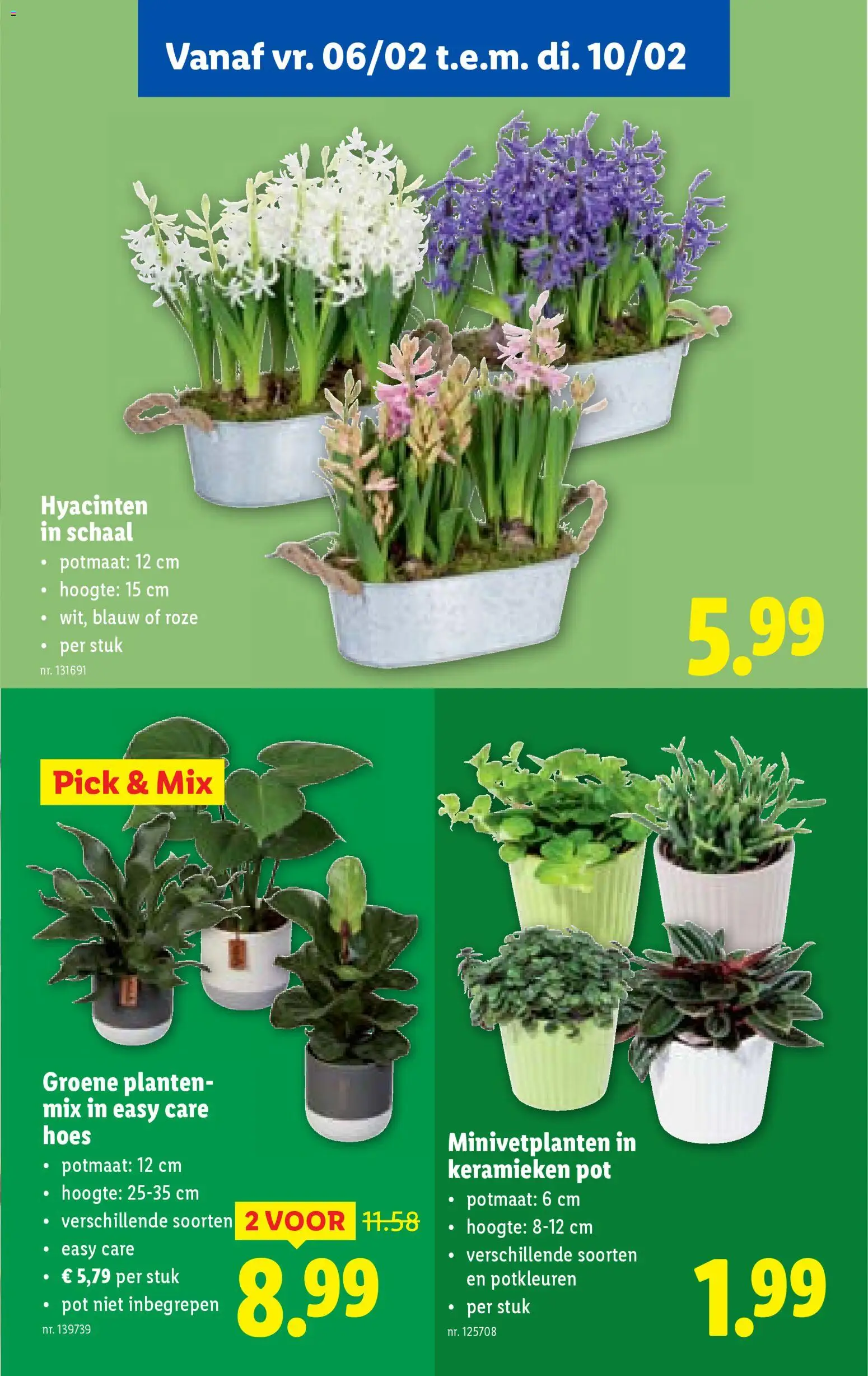 {H1} | Pagina: 49 | Producten: Pot, Schaal