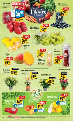 Náhled letáku Albert leták - Hypermarket od 29.10.2025 | Strana: 16