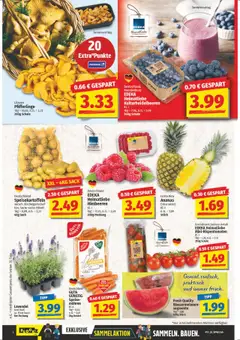 NP Discount Prospekt 	 - gültig ab dem 28.07.2025 | Seite: 2 | Produkte: Himbeeren, Burger, Ananas, Pfifferlinge