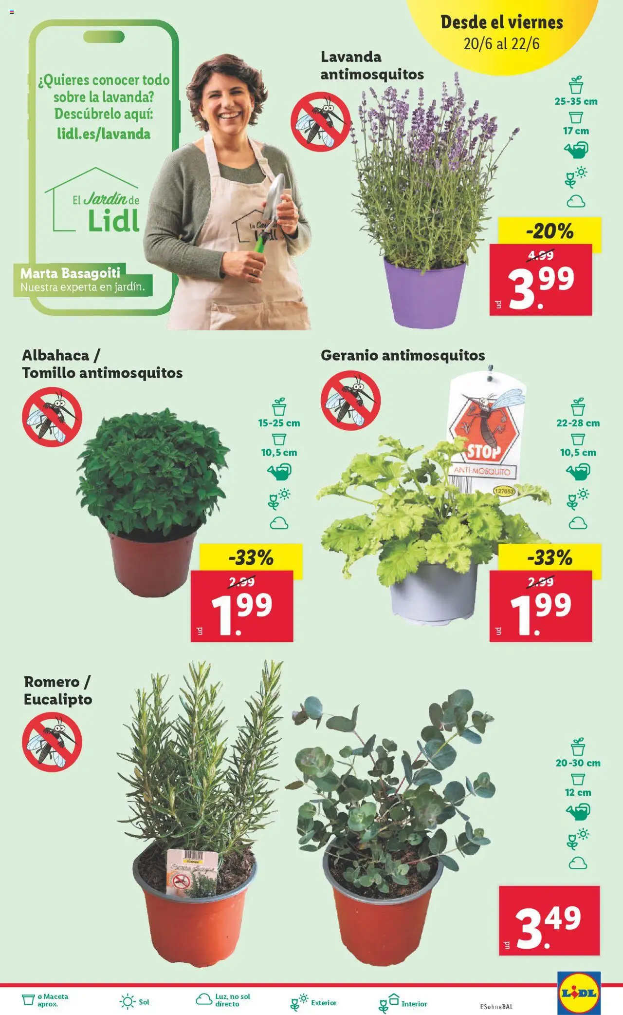 Lidl catálogo de bazar MAD │ válido desde el 16.06.2025 | Página: 29 | Productos: Maceta