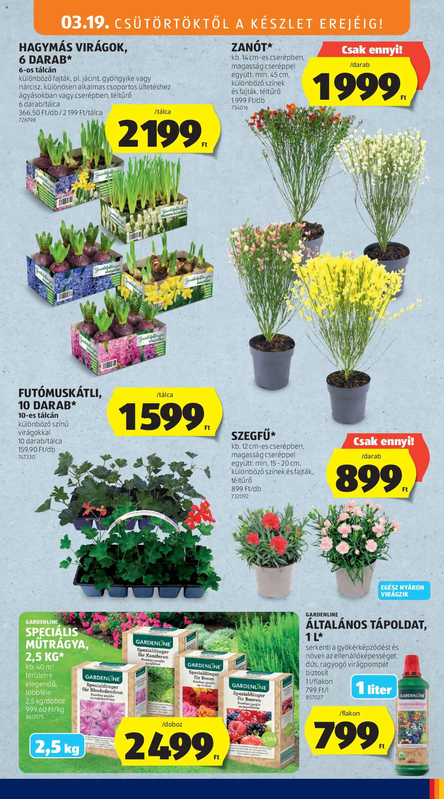 Aldi akciós ujság - amely érvényes a következő dátumtól: 19.03.2026 | Oldal: 51