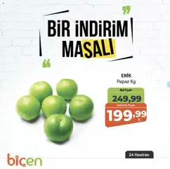 Biçen Market  Bir İndirim MaSali - 24.06.2025 tarihinden itibaren geçerlidir | Sayfa: 24 | Ürünler: Erik, Raf