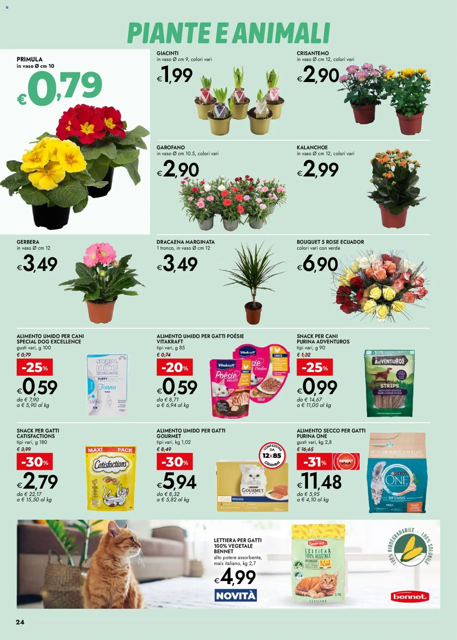 Volantino bennet del 15.01.2026 | Pagina: 24 | Prodotti: Lettiera per gatti, Tonno, Mais, Vaso