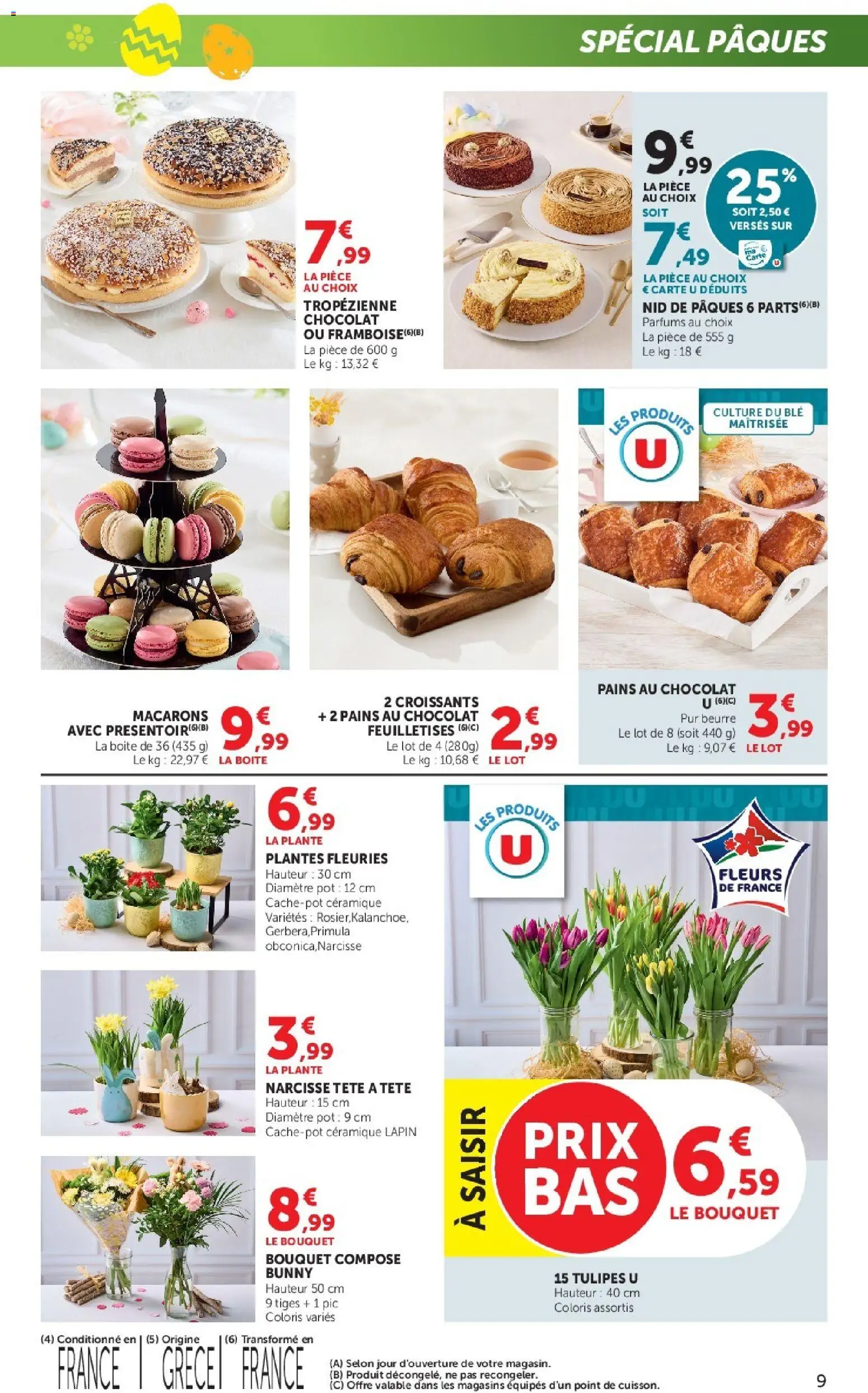 {H1} | Page: 9 | Produits: Framboise, Plantes, Lapin, Tulipes