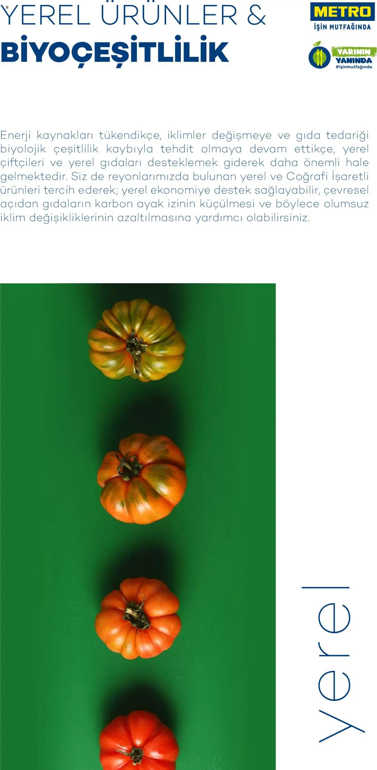 Metro Sürdürülebilir Ürünler Kataloğu - 06.06.2025 tarihinden itibaren geçerlidir | Sayfa: 7