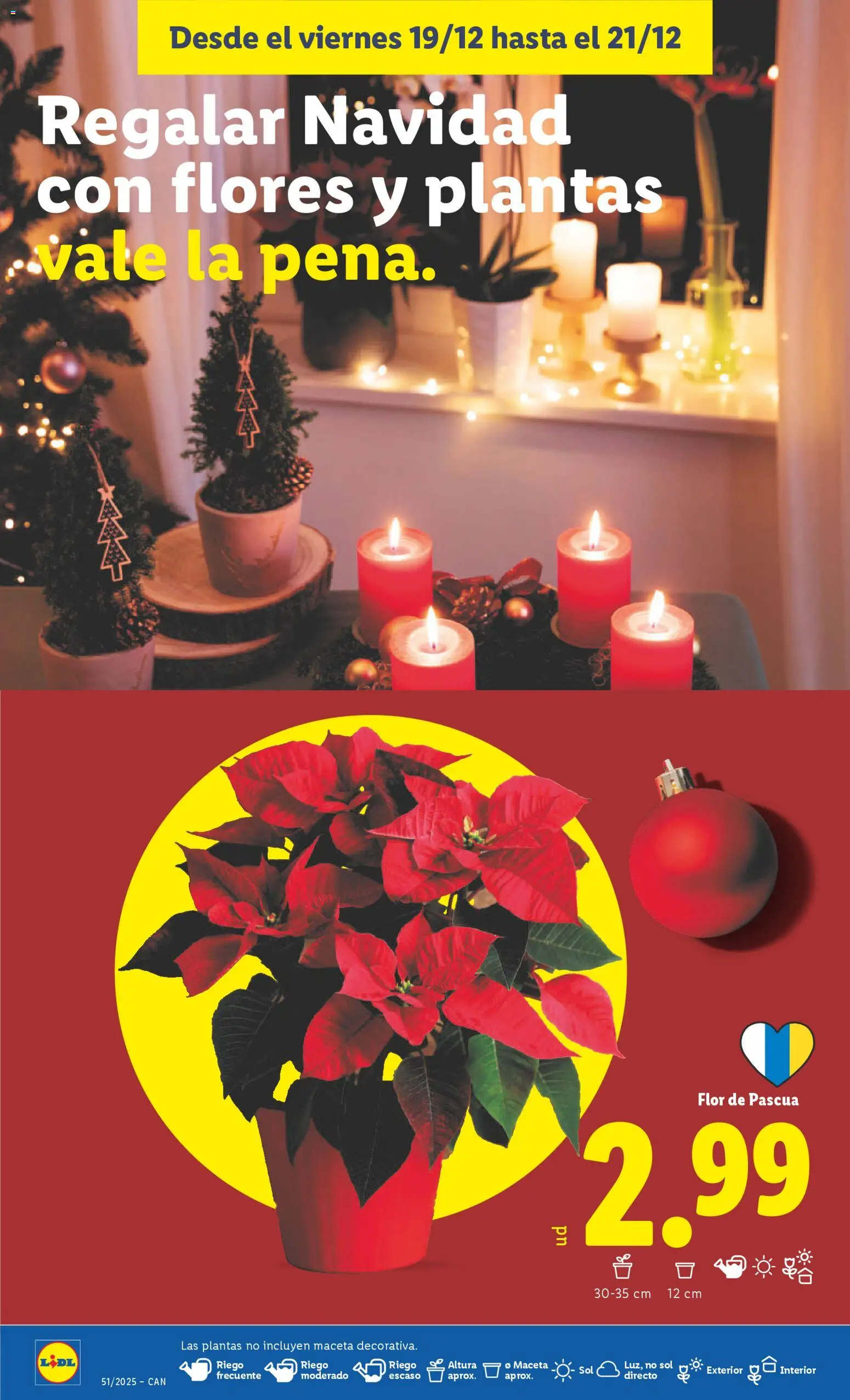 Lidl -Canarias │ válido desde el 15.12.2025 | Página: 46 | Productos: Maceta
