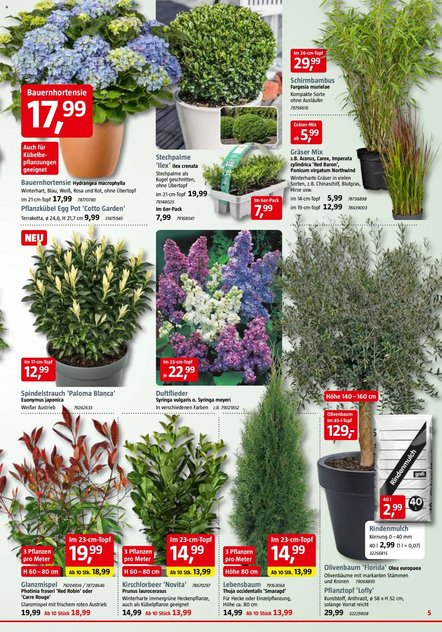 Bauhaus Prospekt 	 – gültig ab 28.03.2026 | Seite: 5 | Produkte: Rindenmulch