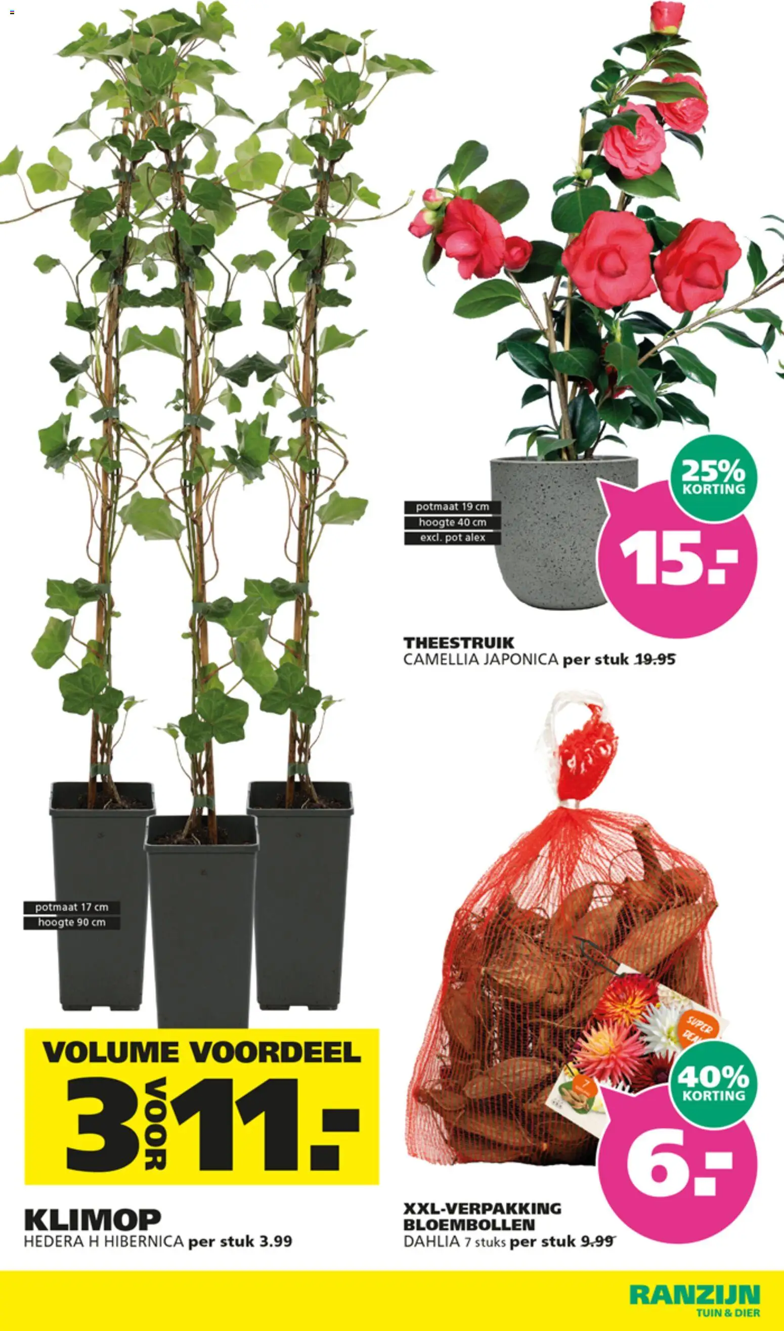 {H1} | Pagina: 10 | Producten: Pot