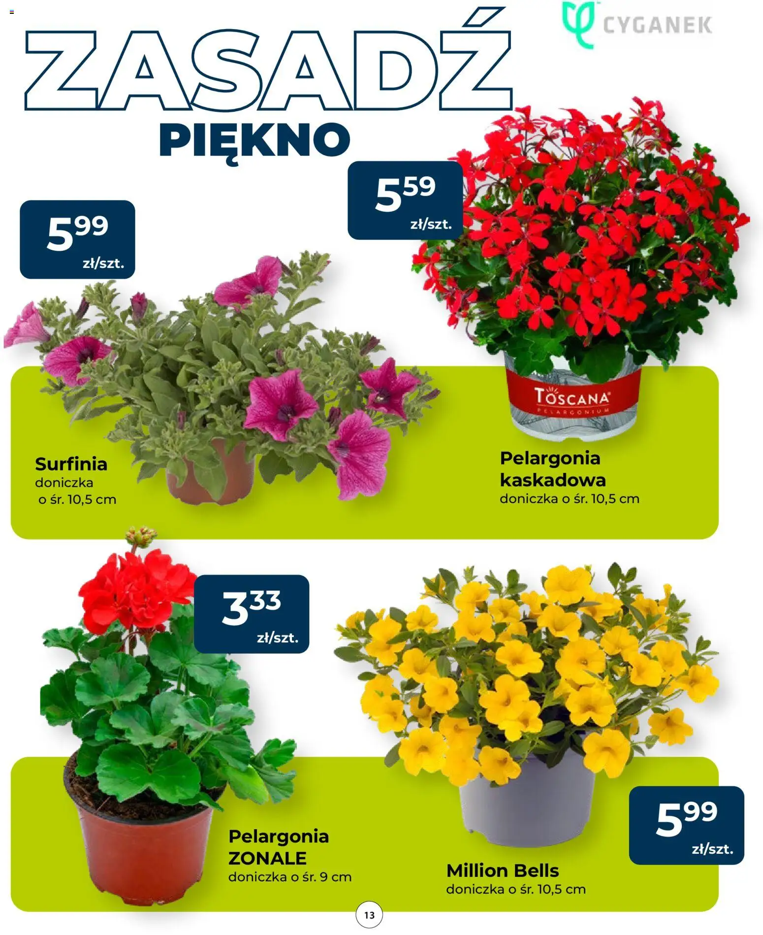 Mrówka gazetka od 23.04.2026 | Strona: 13 | Produkty: Doniczka