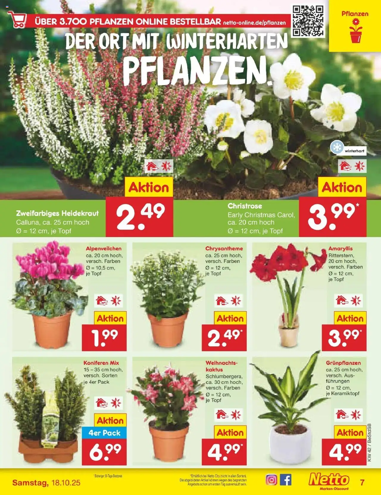 Netto Marken-Discount Prospekt 	 – gültig ab 13.10.2025 | Seite: 7