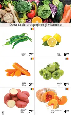 Noul catalog Selgros – valabil de la 19.09.2025 | Pagină: 6 | Produse: Pungă, Ardei iute, Roșii, Cartofi