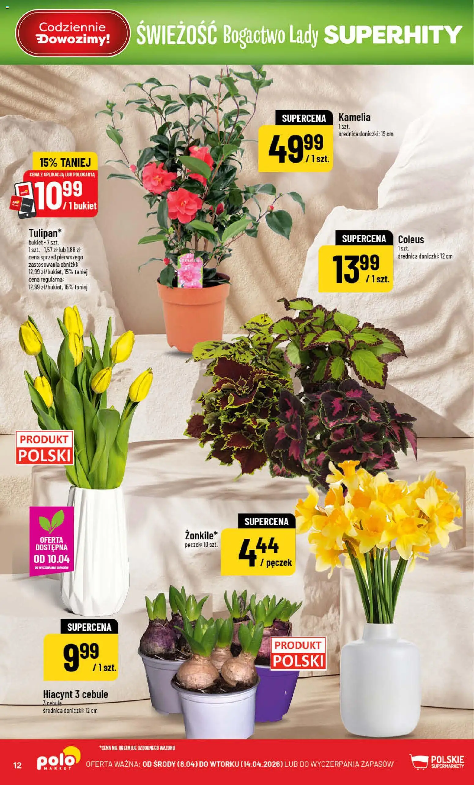 POLOmarket gazetka od 08.04.2026 | Strona: 12 | Produkty: Doniczki, Cebule