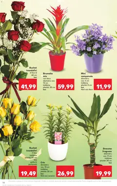Ofertele Kaufland valabile de la 18.02.2026 | Pagină: 14 | Produse: Bromelia