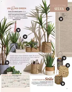 Volantino Conforama del 09.04.2025 | Pagina: 39 | Prodotti: Dondolo, Pergola, Cuscino, Tappeto
