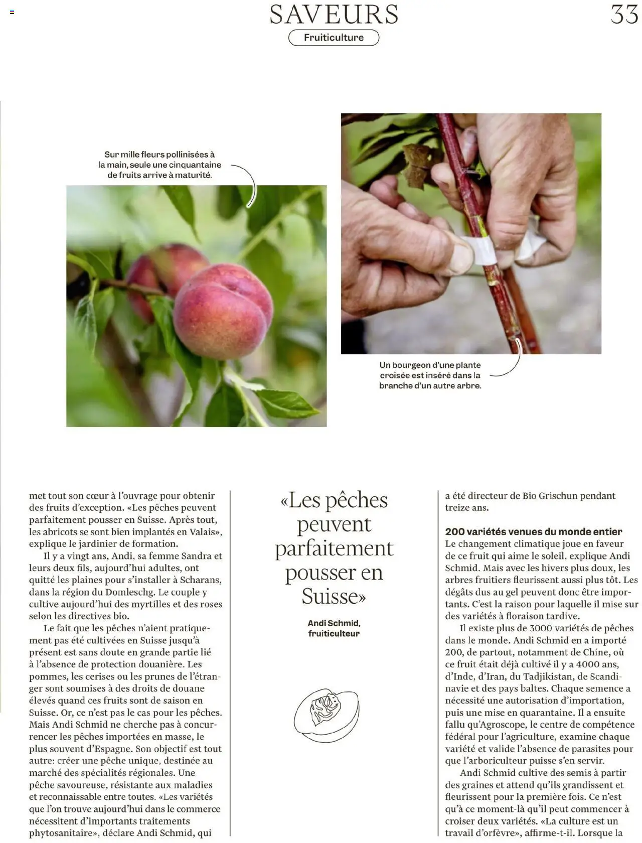 Migros - Magazin FR ab 12.08.2025 | Seite: 33