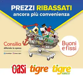 Anteprima del volantino Tigre Prezzi Ribassati catalogo valido a partire dal 01.01.2026