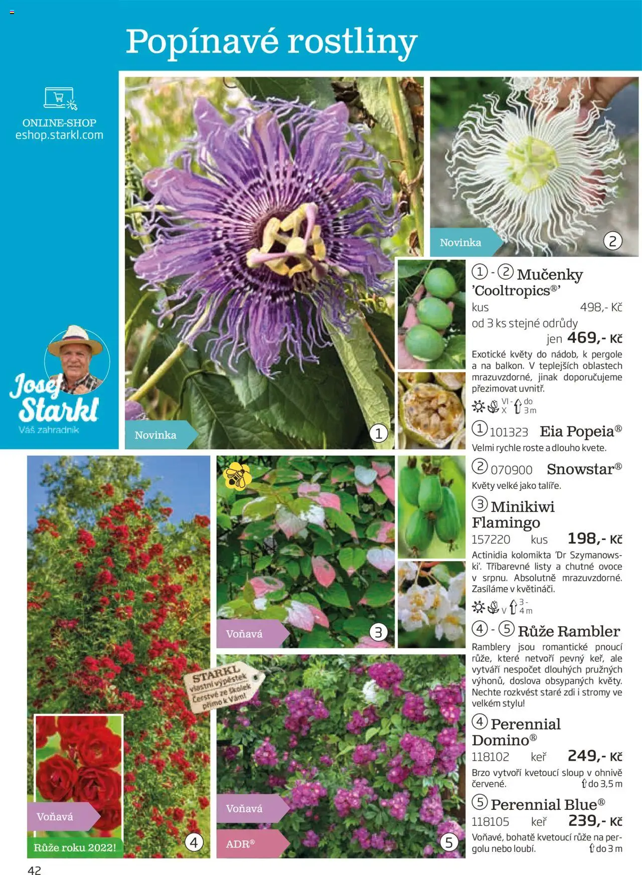 Starkl katalog podzim 2025 od 01.08.2025 | Strana: 42 | Produkty: Ovoce, Rostliny