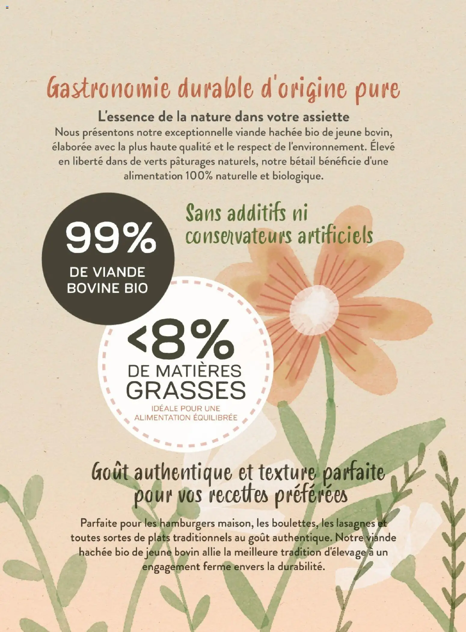 {H1} | Page: 83 | Produits: Viande hachée, Lasagnes, Viande, Viande bovine