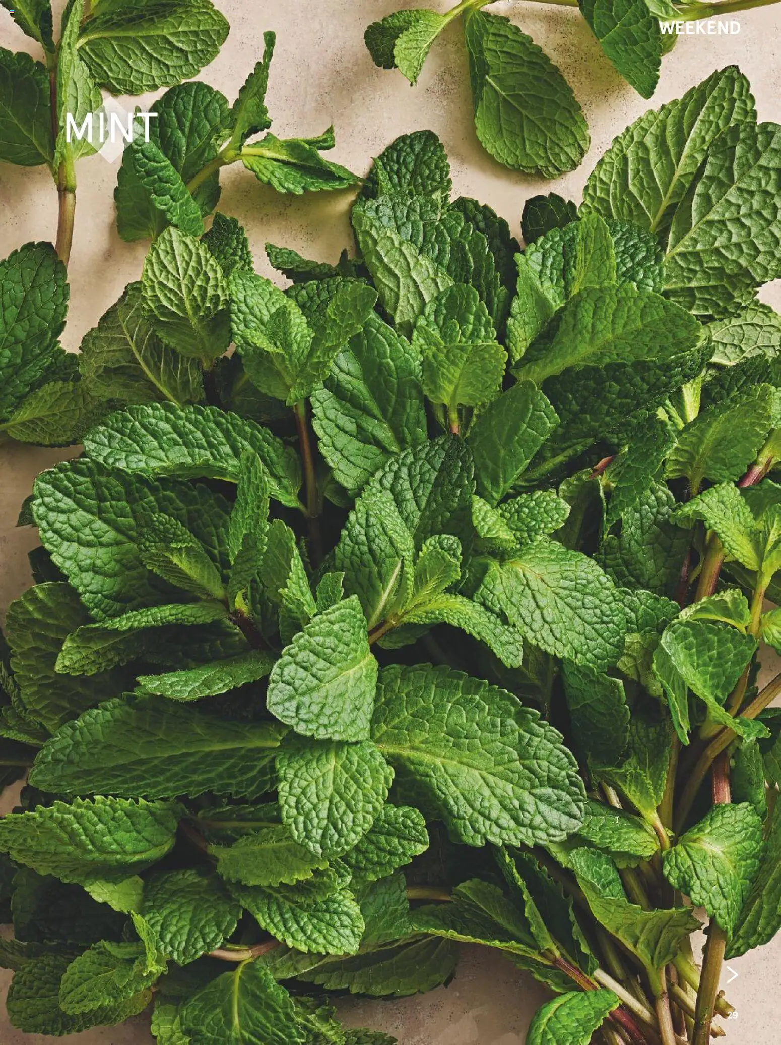 {H1} | Page: 29 | Products: Mint