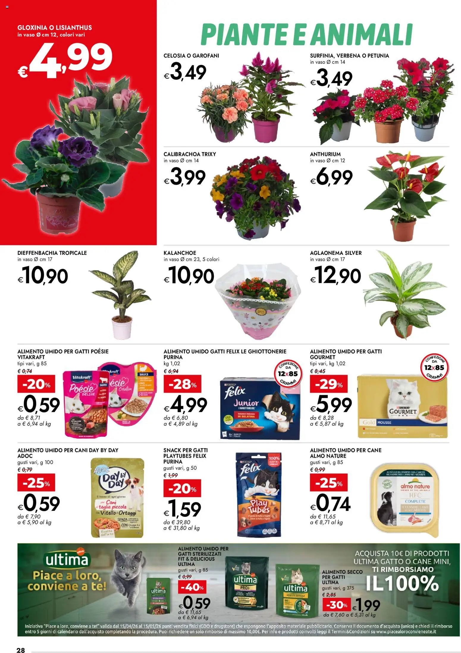 Volantino bennet del 23.04.2026 | Pagina: 28 | Prodotti: Pollo, Carote, The, Agnello