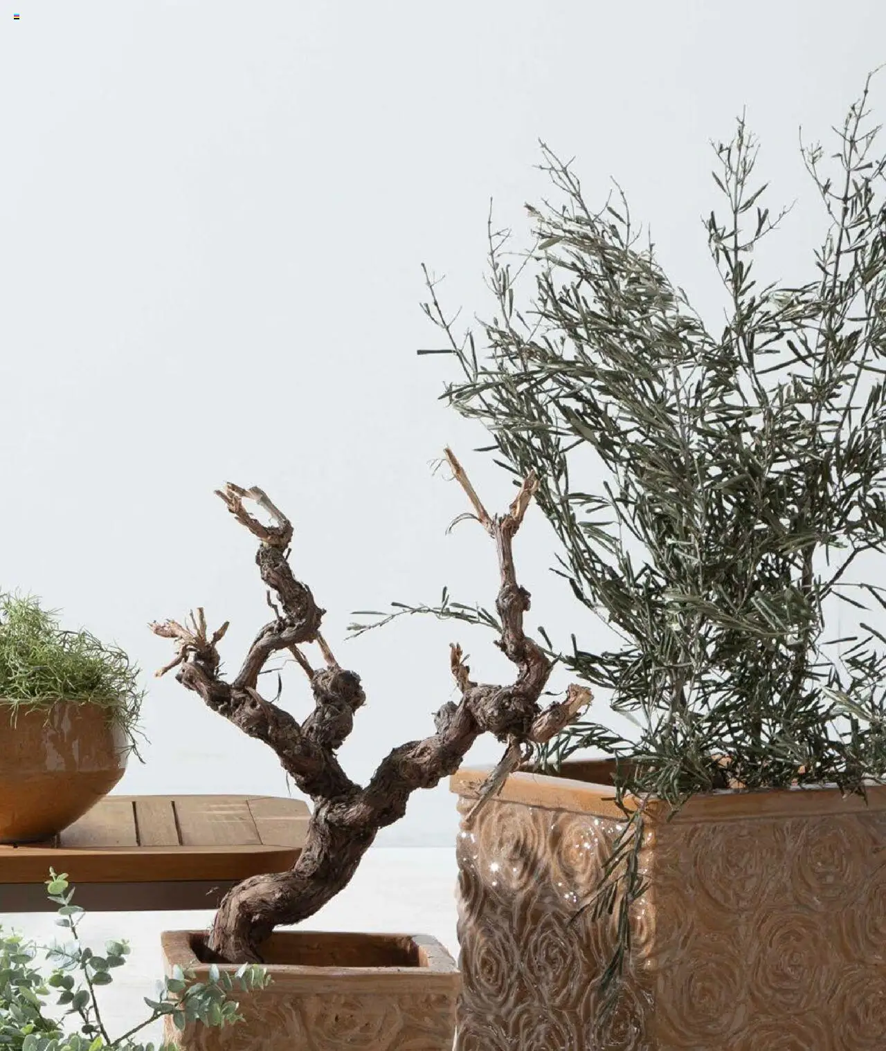 Mudo Katalog - BAHÇE 2025 - 04.06.2025 tarihinden itibaren geçerlidir | Sayfa: 95