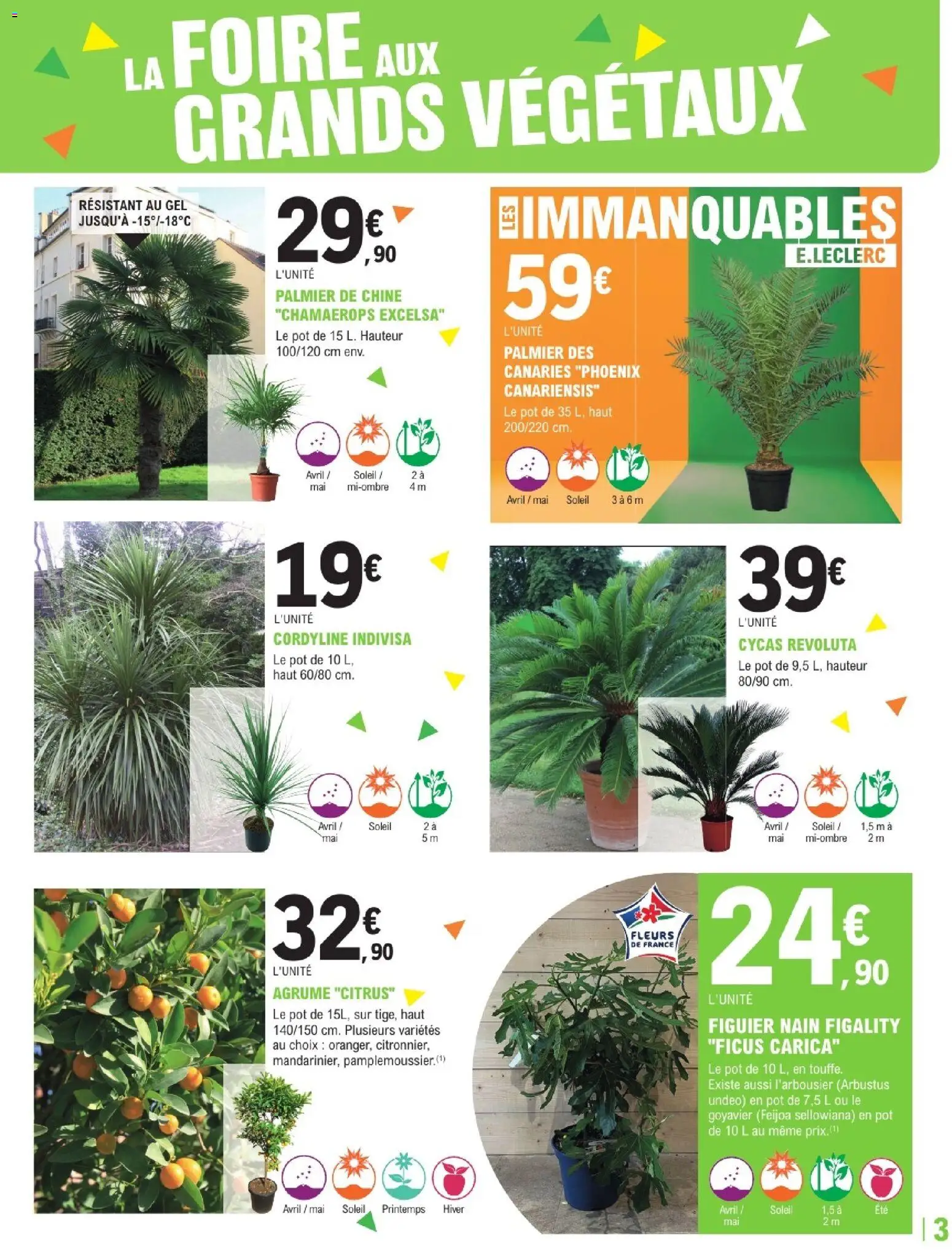 {H1} | Page: 3 | Produits: Palmier