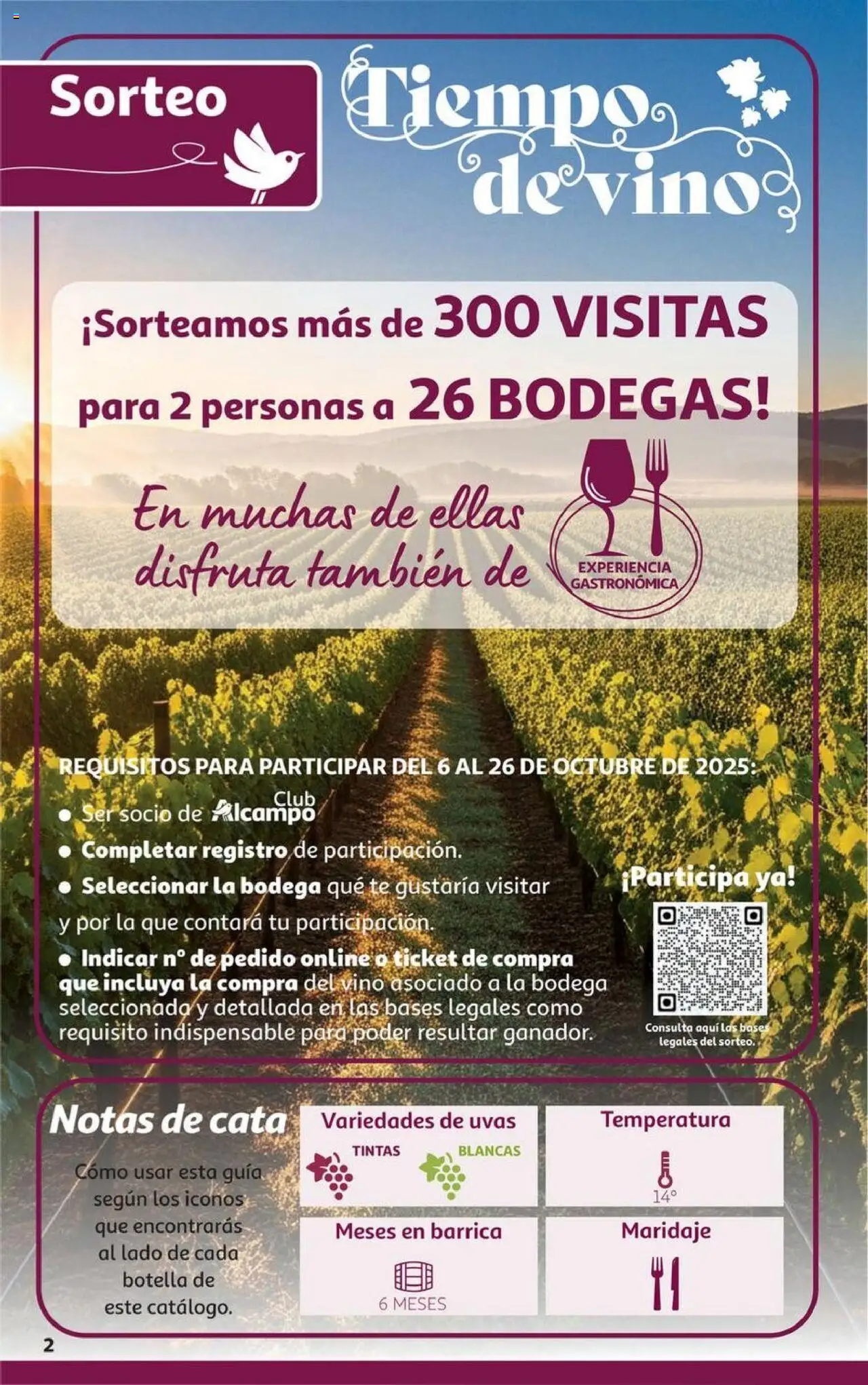 Alcampo - HG Galicia │ válido desde el 06.10.2025 | Página: 2 | Productos: Τζίντζερ, Vino, Té