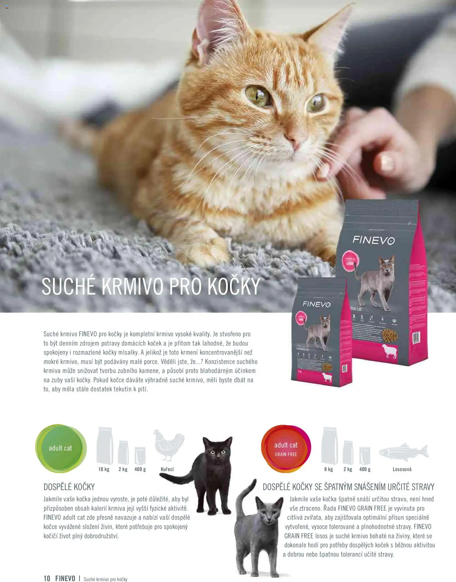 HORNBACH leták - Finevo od 01.01.2026 | Strana: 10 | Produkty: Krmivo pro kočky, Losos