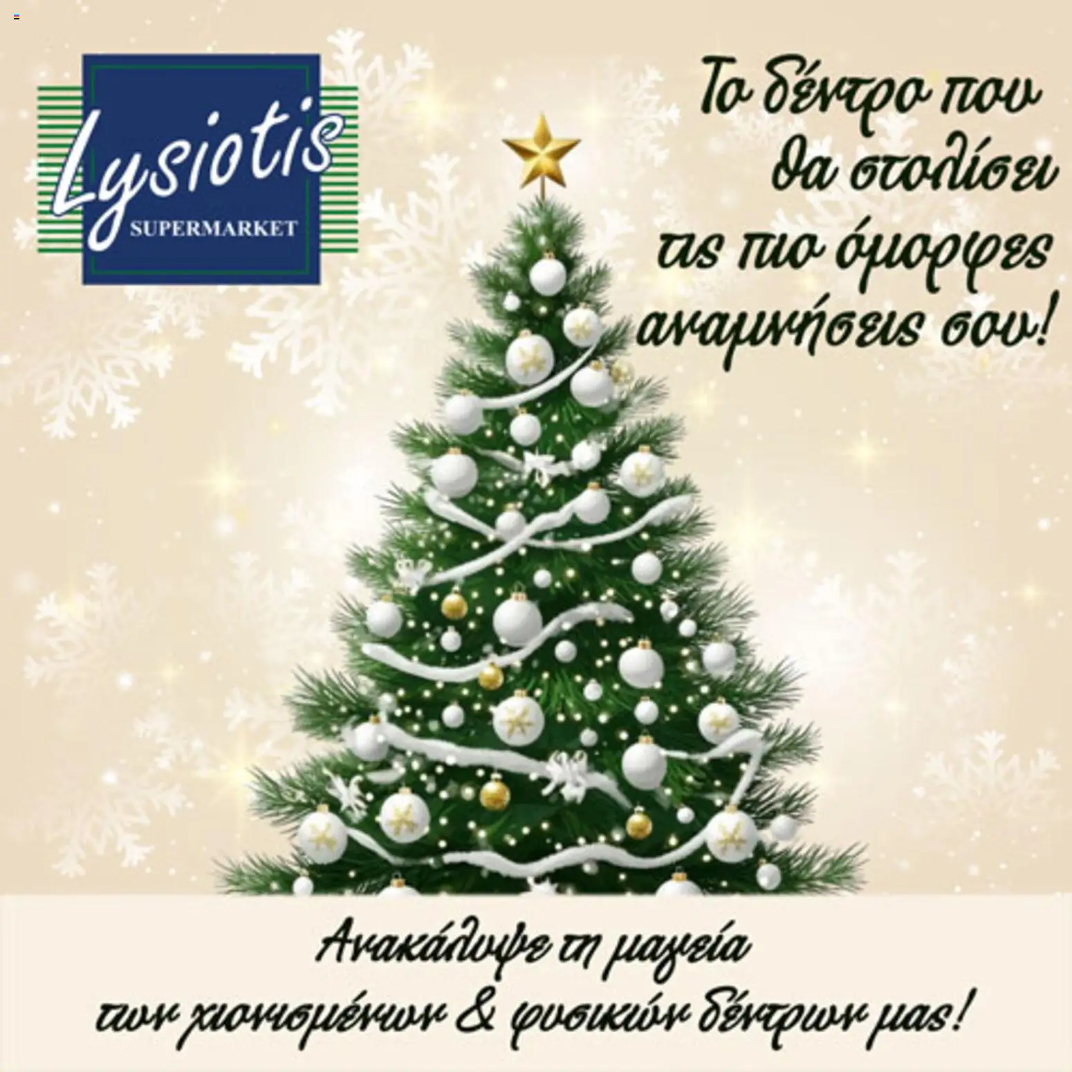 Lysiotis Φυλλάδιο – σε ισχύ από 03.11.2025 | Σελίδα: 1