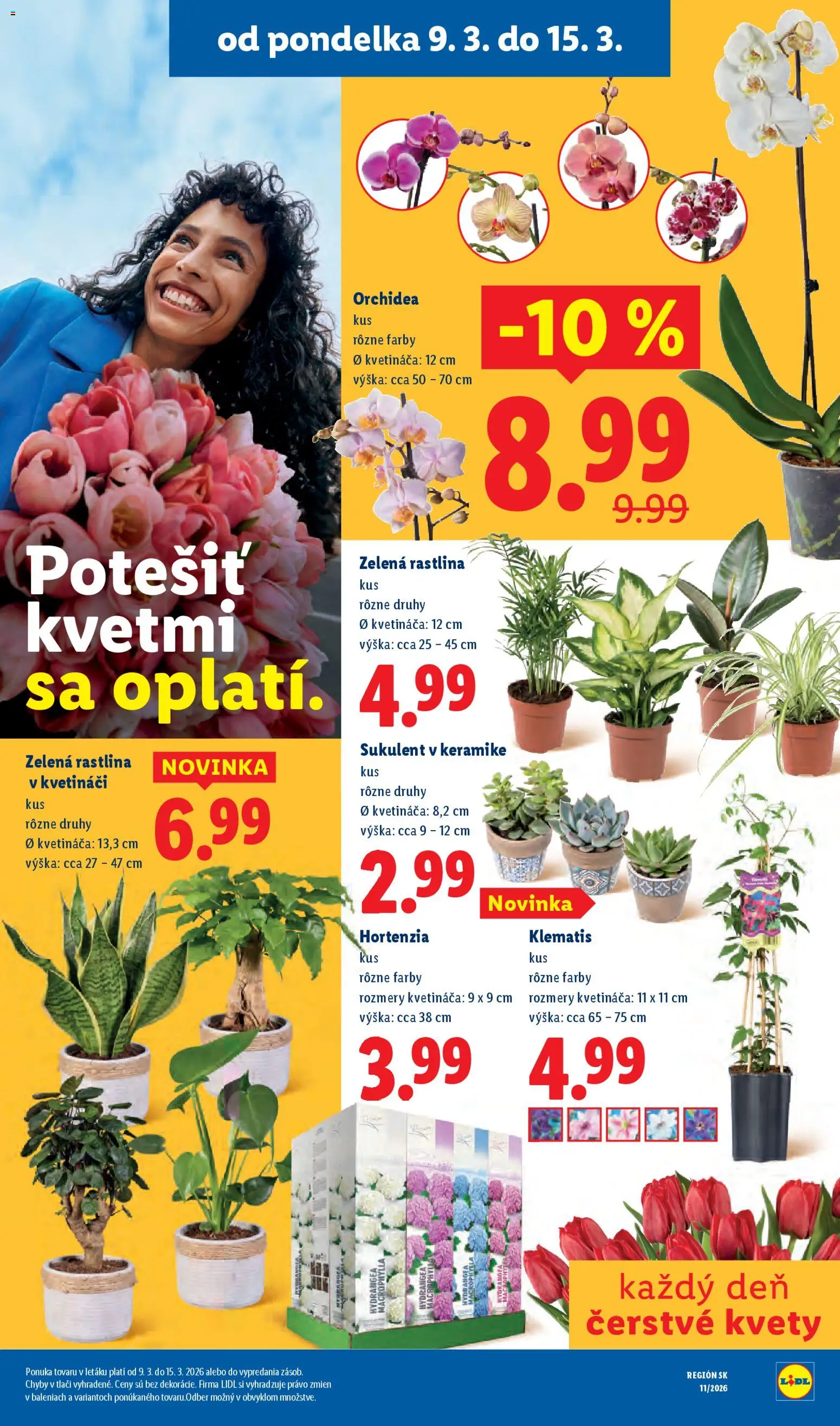 Nové Lidl akcie – leták je platný od 09.03.2026 | Strana: 40 | Produkty: Kvety, Orchidea