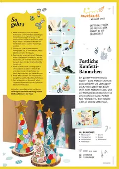 Pagro-Diskont  Ideenwerk ab 05.11.2025 gültig | Seite: 17 | Produkte: Gewicht