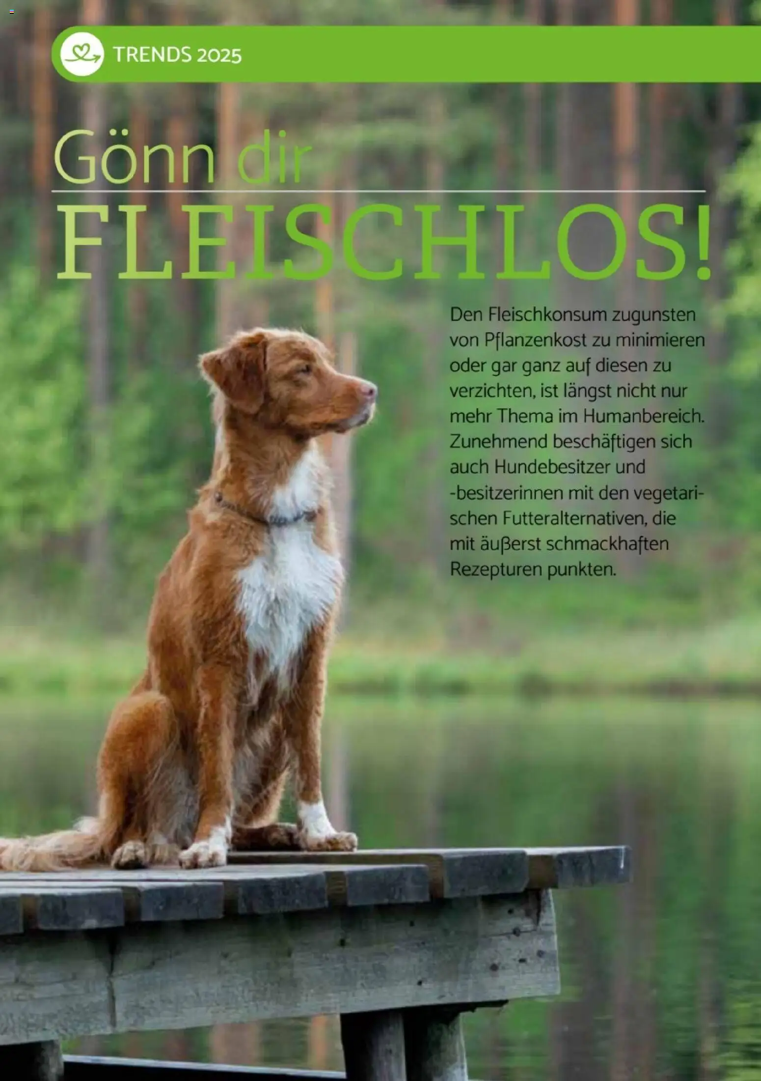 zookauf  Heimtier Journal Special – gültig ab 01.12.2025 | Seite: 12