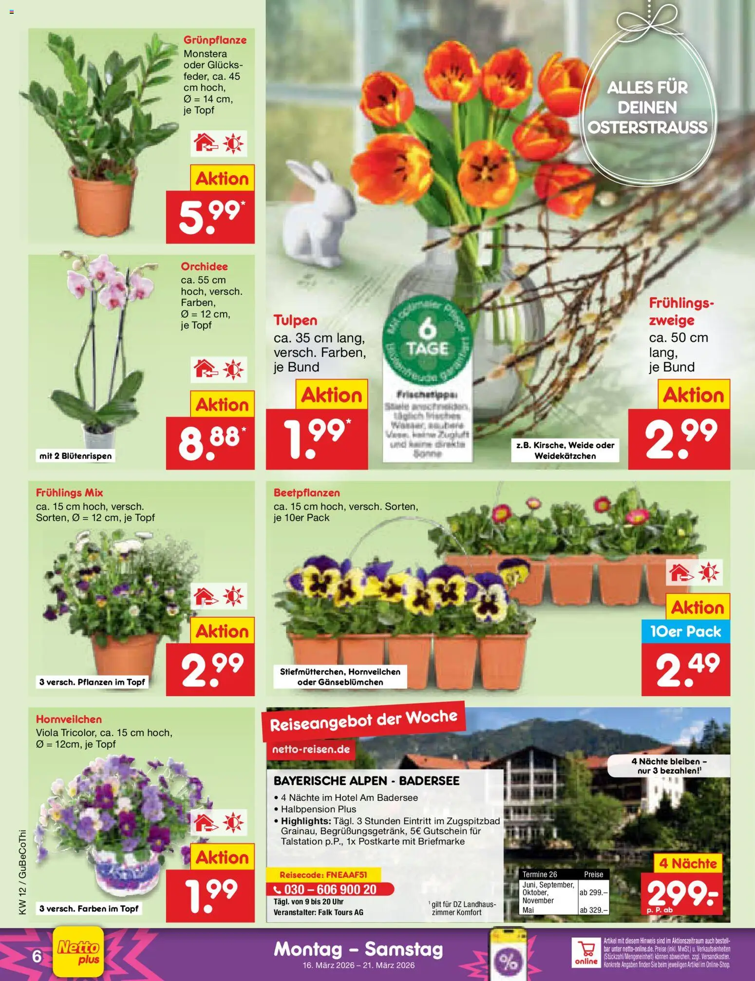 Netto Marken-Discount Prospekt 	 – gültig ab 16.03.2026 | Seite: 6 | Produkte: Orchidee, Uhr